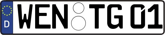 WEN-TG01