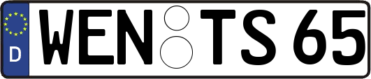 WEN-TS65
