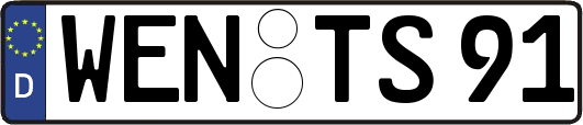 WEN-TS91
