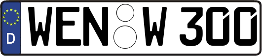 WEN-W300