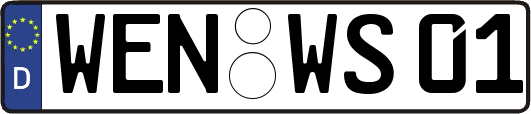 WEN-WS01