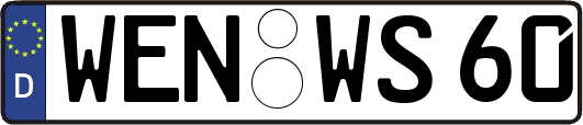 WEN-WS60