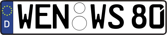WEN-WS80