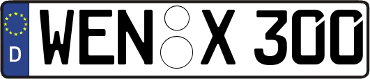 WEN-X300