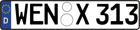 WEN-X313