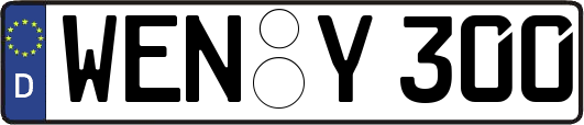 WEN-Y300
