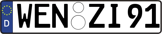 WEN-ZI91