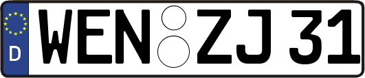 WEN-ZJ31