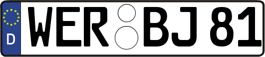 WER-BJ81