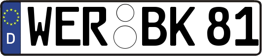 WER-BK81