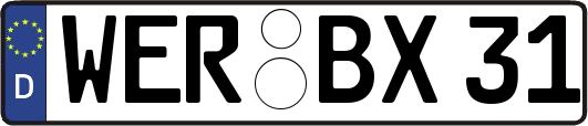 WER-BX31