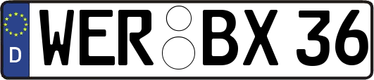 WER-BX36