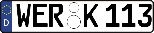 WER-K113