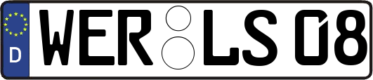 WER-LS08