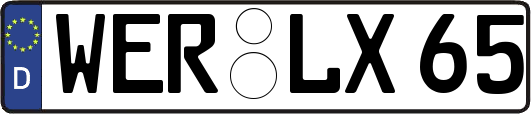 WER-LX65