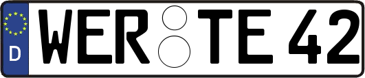 WER-TE42