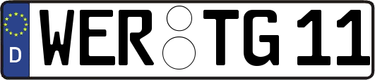 WER-TG11