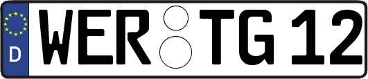 WER-TG12