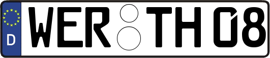 WER-TH08