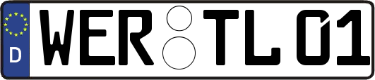 WER-TL01