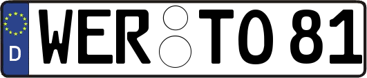 WER-TO81