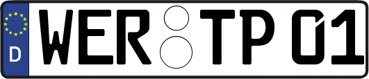 WER-TP01