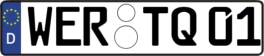WER-TQ01