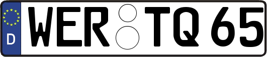 WER-TQ65