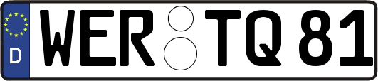 WER-TQ81