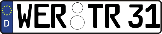 WER-TR31