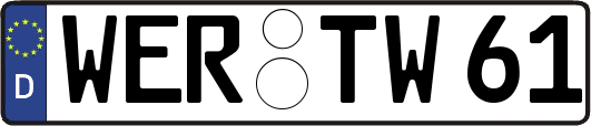 WER-TW61