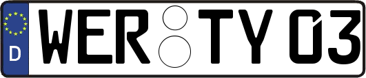 WER-TY03
