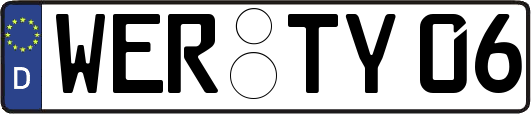 WER-TY06
