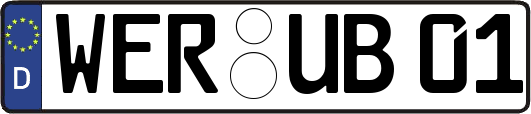 WER-UB01