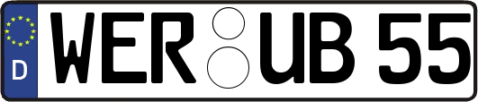 WER-UB55