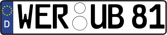 WER-UB81