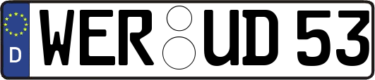 WER-UD53