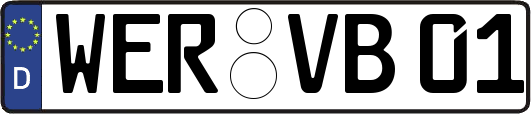 WER-VB01