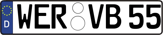 WER-VB55