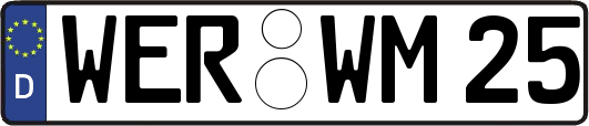 WER-WM25