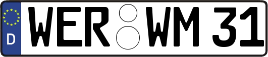 WER-WM31