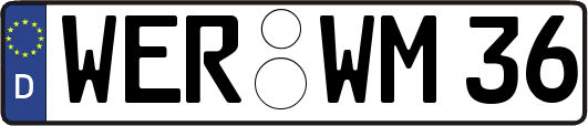 WER-WM36