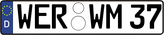 WER-WM37