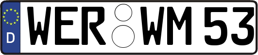 WER-WM53