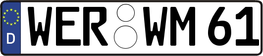 WER-WM61