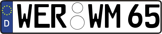 WER-WM65