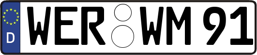 WER-WM91