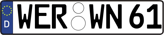 WER-WN61