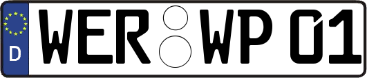 WER-WP01