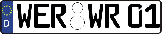 WER-WR01
